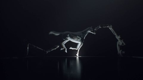 Westworld Season 1 Video Cover