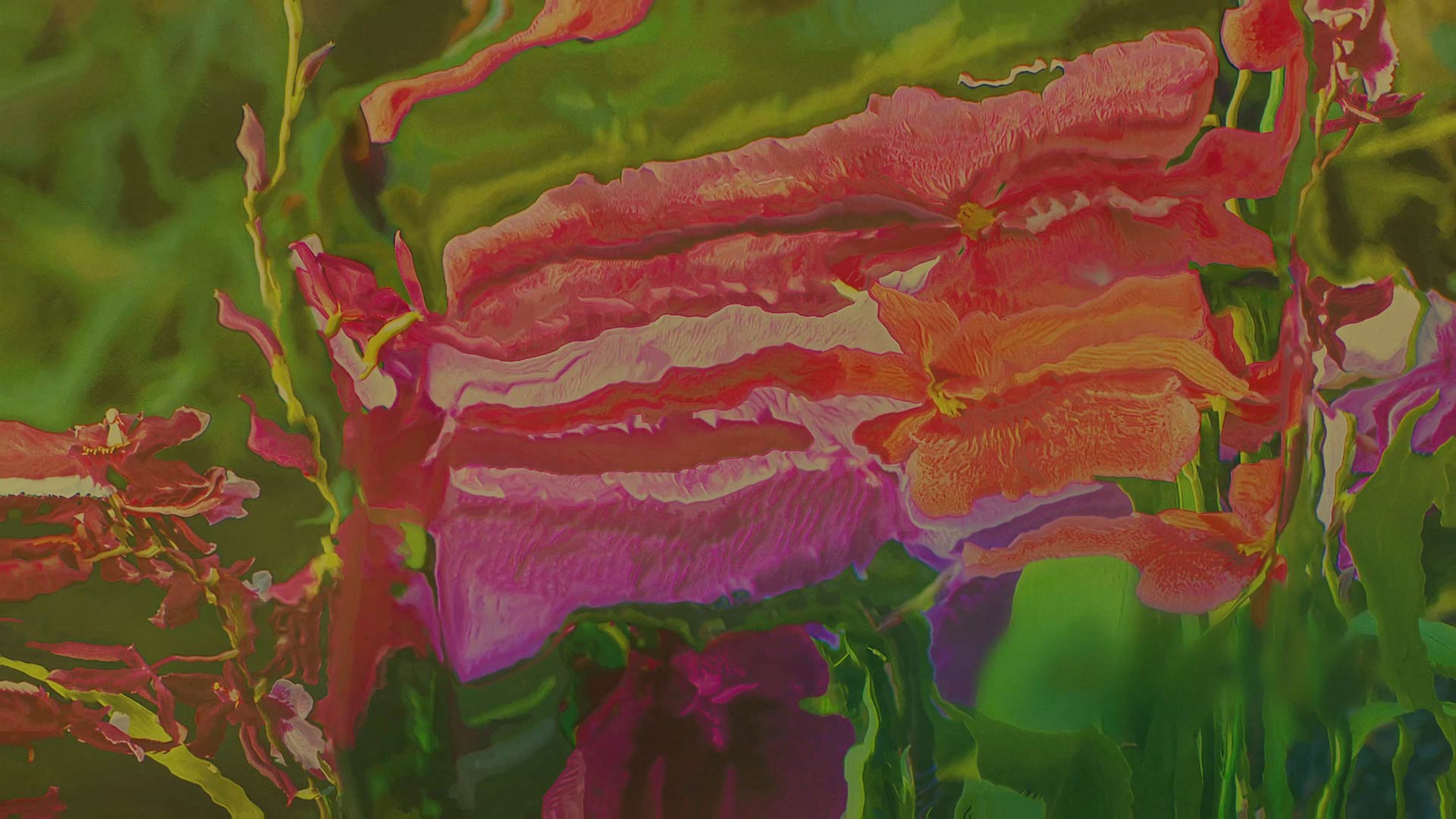 Image from Nine Perfect Strangers  by Antibody.