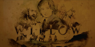 Willow Video Cover