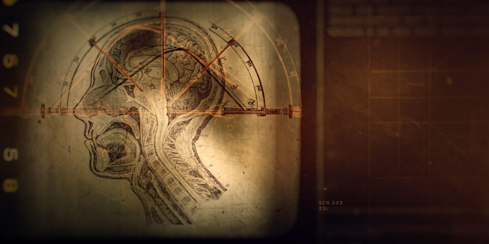 Image from AMC Talamasca by Antibody.