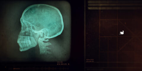 Image from AMC Talamasca by Antibody.