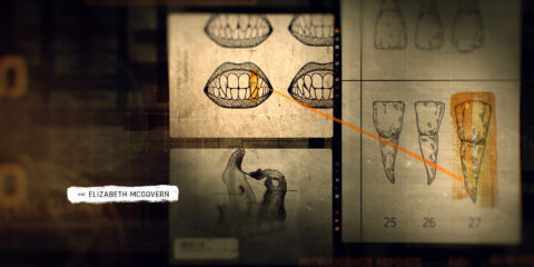 Image from AMC Talamasca by Antibody.